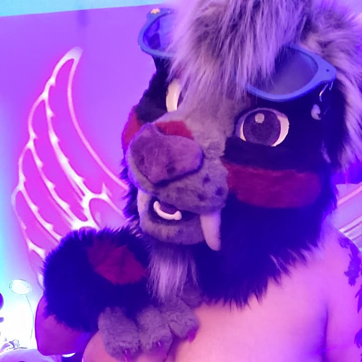 A Naughty kitty