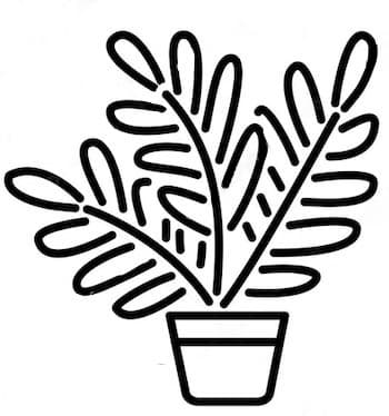 Planterina