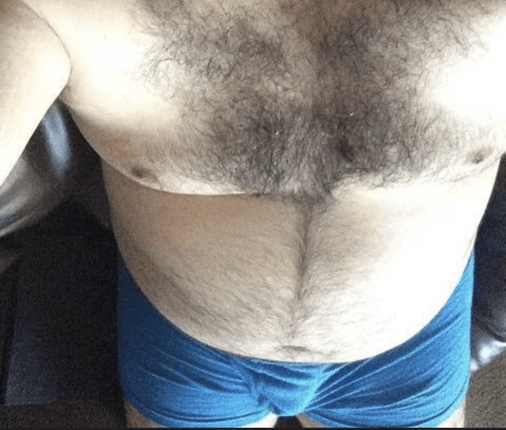 Nashville Bear