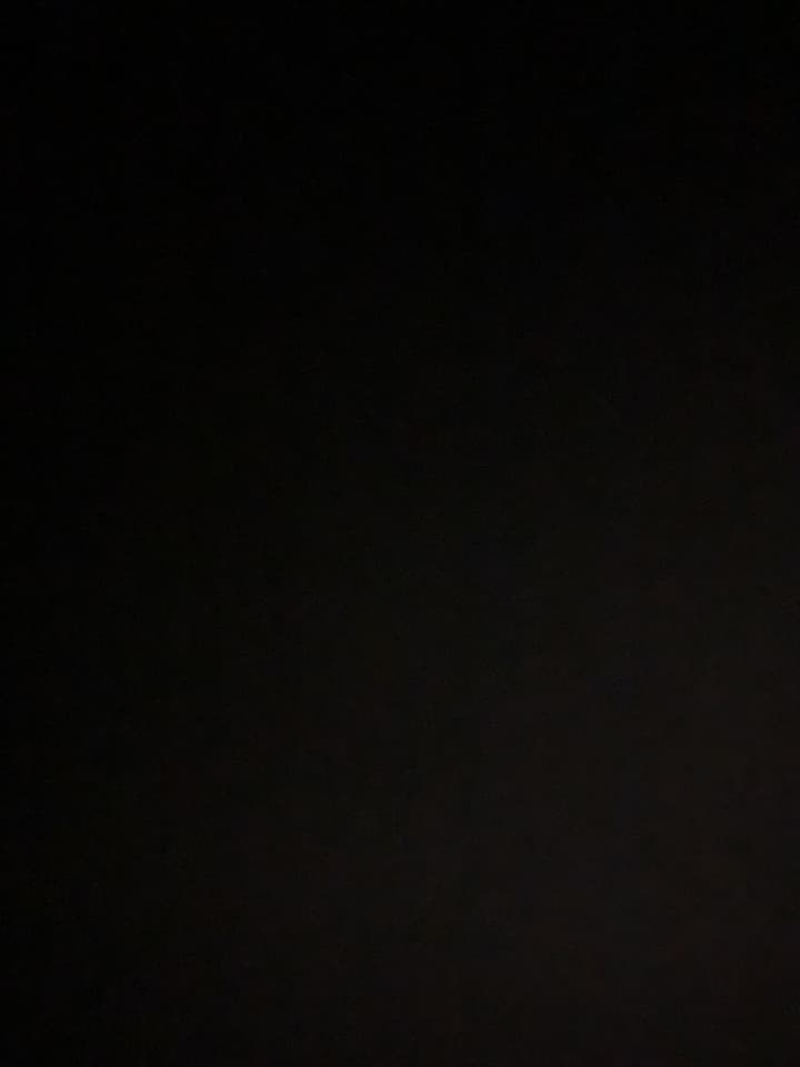 DickOnDelivery