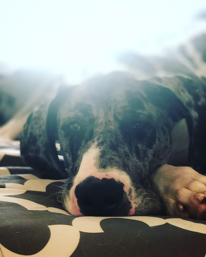 Norman
