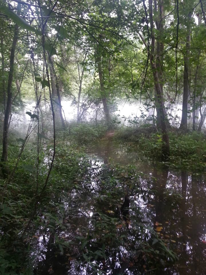 Berkoda